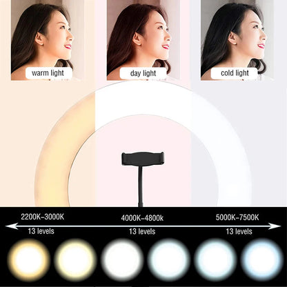 10 Inch LED Ring Light Photographic Selfie Ring Lighting with Phone Holder for Tiktok Youtube Makeup Video Live Studio Ring Lamp Techelectronicx