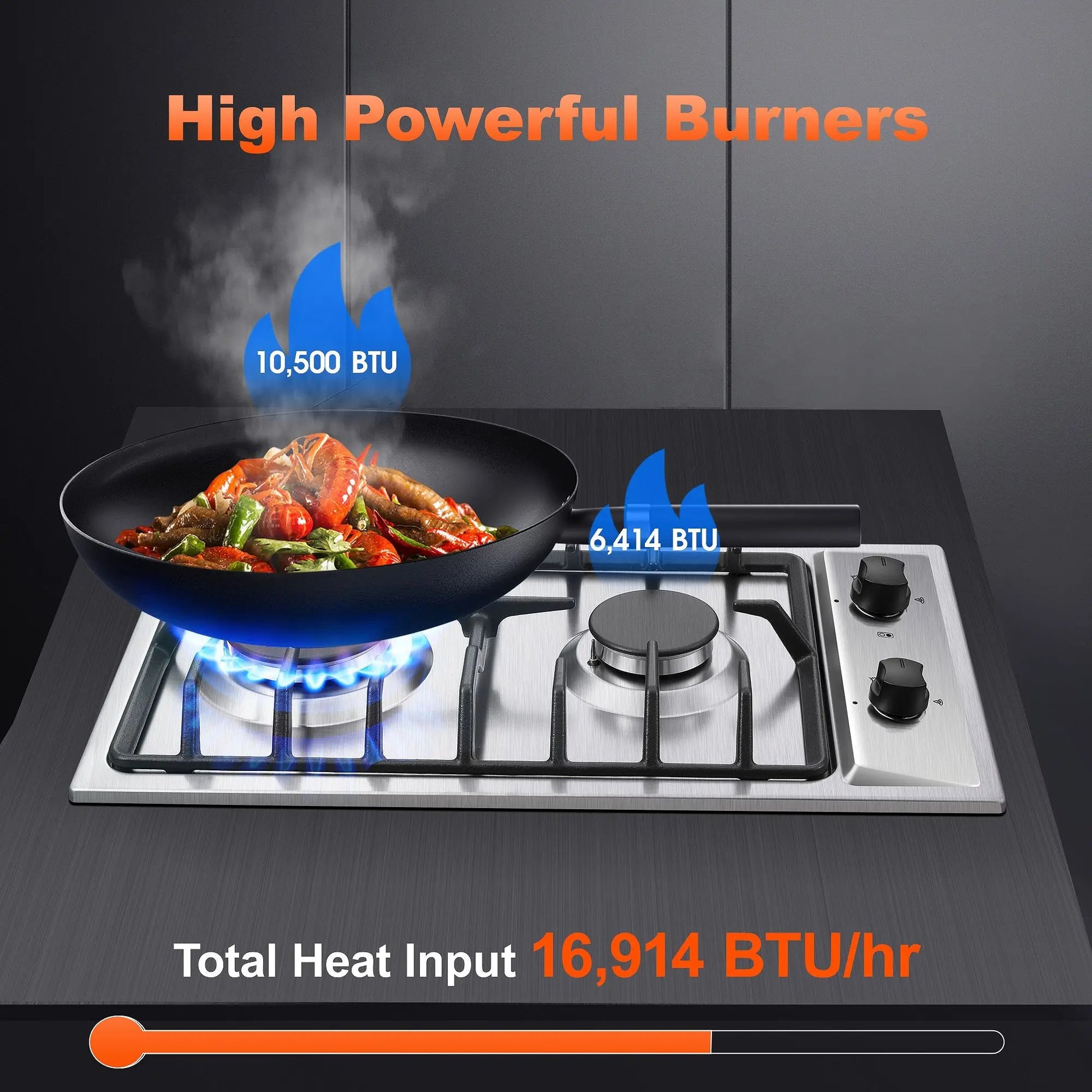 12 Inch 2-Burner Dual Fuel NG/LPG Gas Stove | Built-in for RV, Camping & Kitchen | Thermocouple Protection | Stainless Steel Techelectronicx