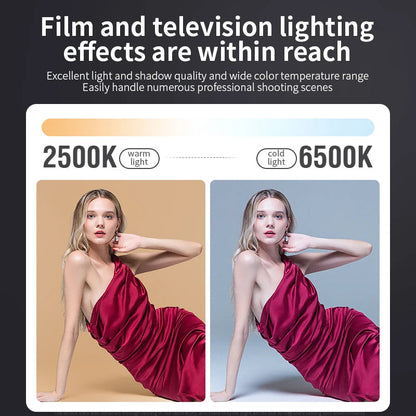 ZU80/ZU60 Photo Studio Light COB Bi-Color 2500-8500K CRI≥95 TLCI≥97 With Diffuser LED Video Lights Fill Lighting Techelectronicx