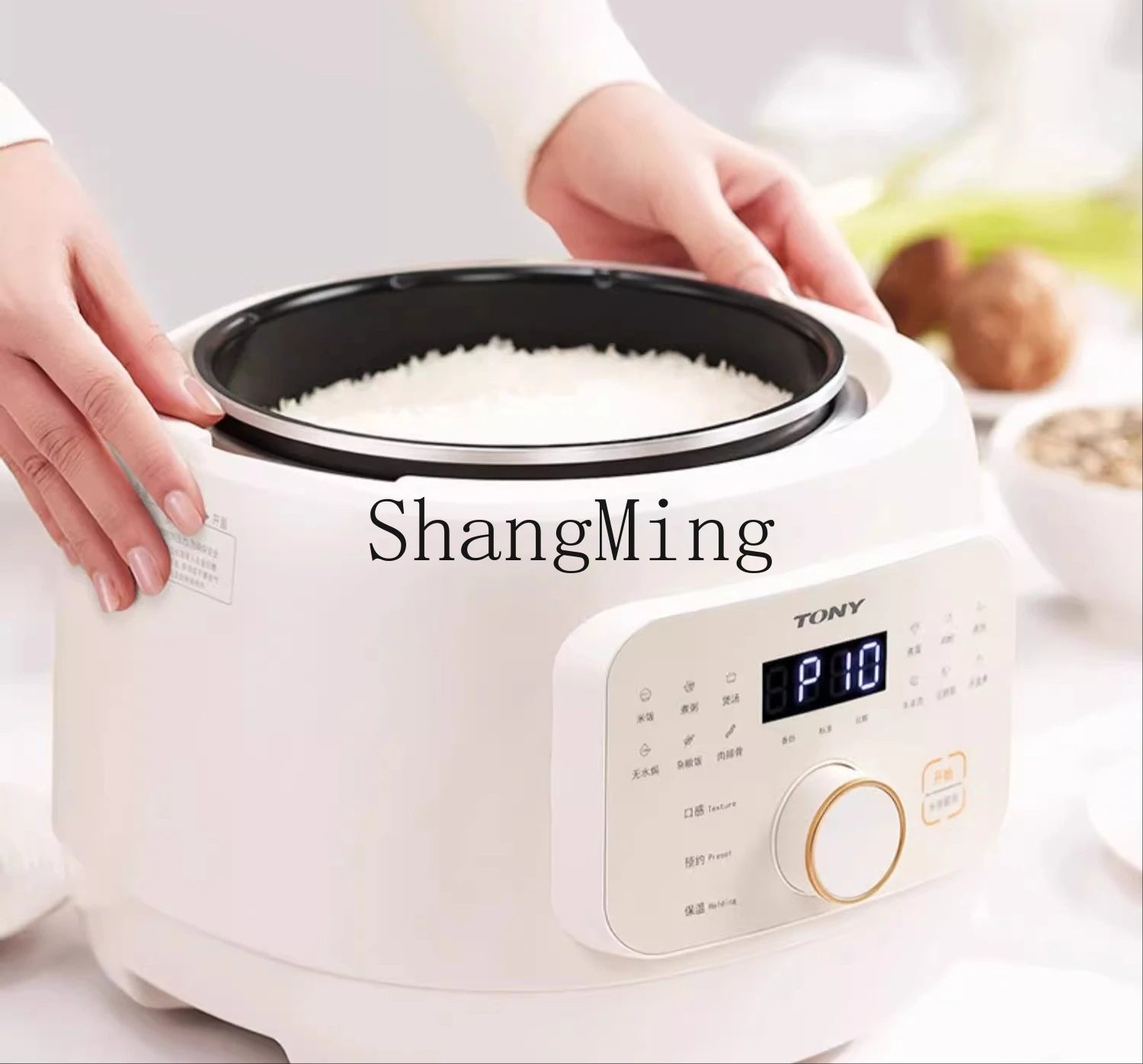 ZYY electric pressure cooker household small automatic exhaust electric pressure cooker Techelectronicx