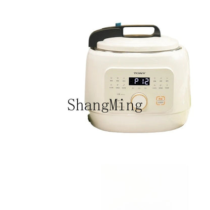 ZYY electric pressure cooker household small automatic exhaust electric pressure cooker Techelectronicx