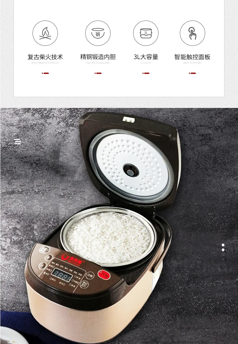 110V/220V Low Sugar Rice Cooker Smart Keep Warm Preset for USA Japan Canada Techelectronicx
