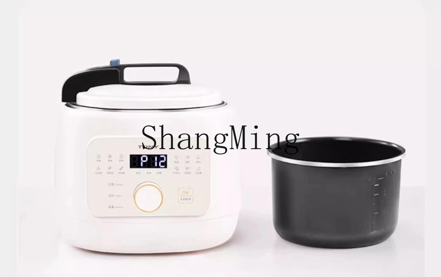 ZYY electric pressure cooker household small automatic exhaust electric pressure cooker Techelectronicx