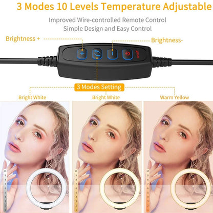 10 Inch LED Ring Light Photographic Selfie Ring Lighting with Phone Holder for Tiktok Youtube Makeup Video Live Studio Ring Lamp Techelectronicx