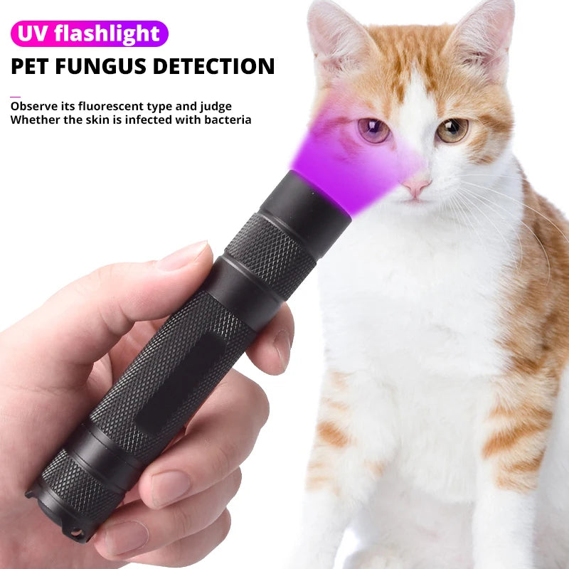 100W 365nm UV Flashlight Fluorescent Antigen Reagent Detection Lamp Waterproof UV Black Mirror Woodruff Special Identification Techelectronicx
