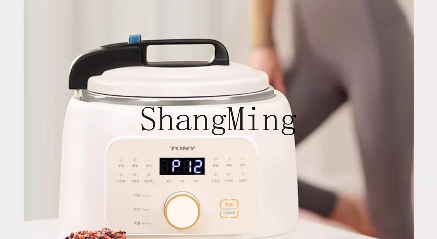 ZYY electric pressure cooker household small automatic exhaust electric pressure cooker Techelectronicx
